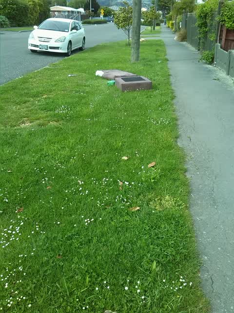 Rubbish/Recycling, a report photo
