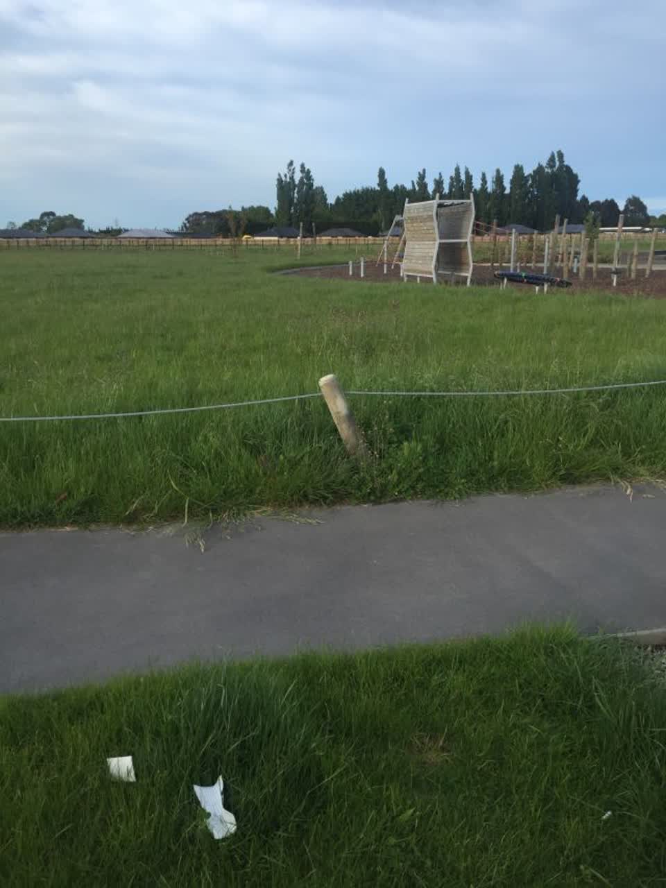 The photograph attached to this parks report