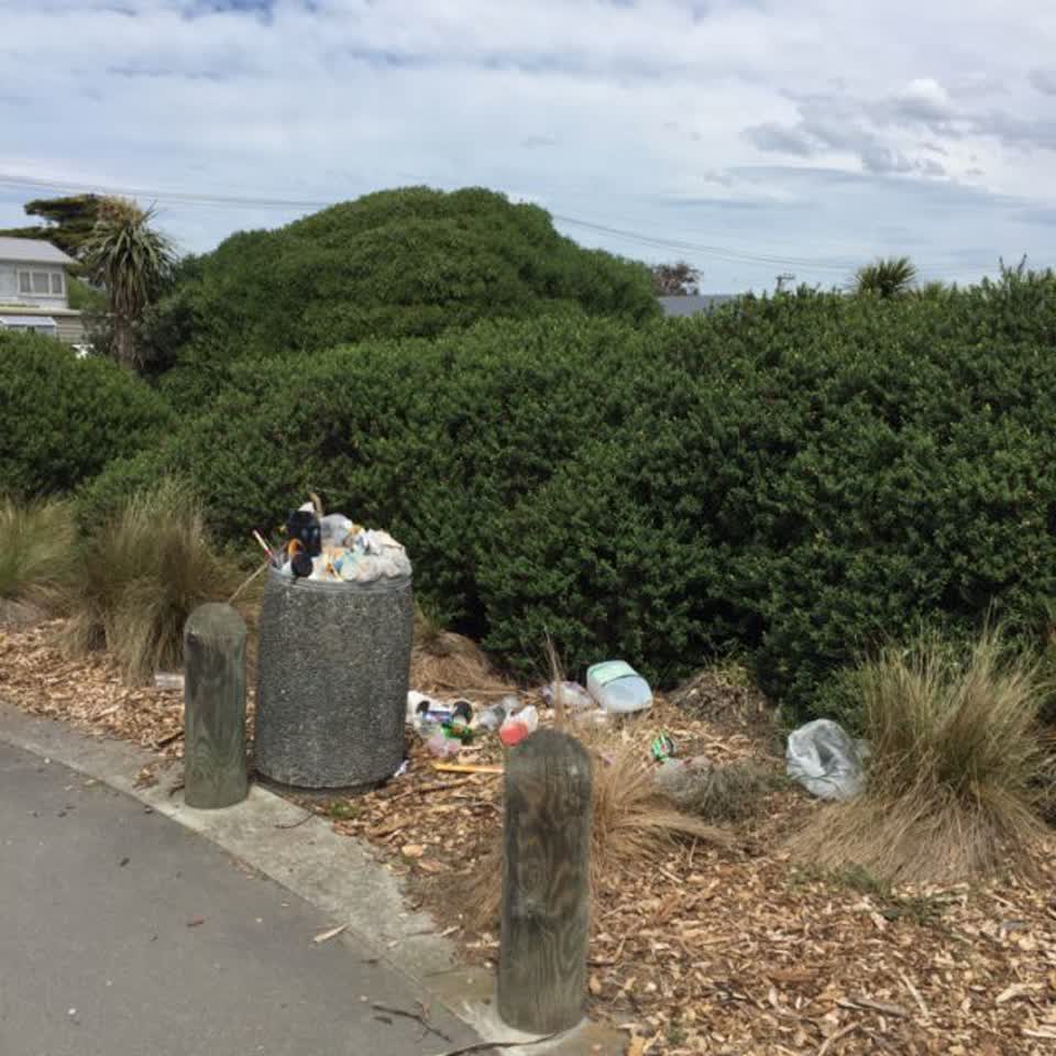 The photograph attached to this parks report
