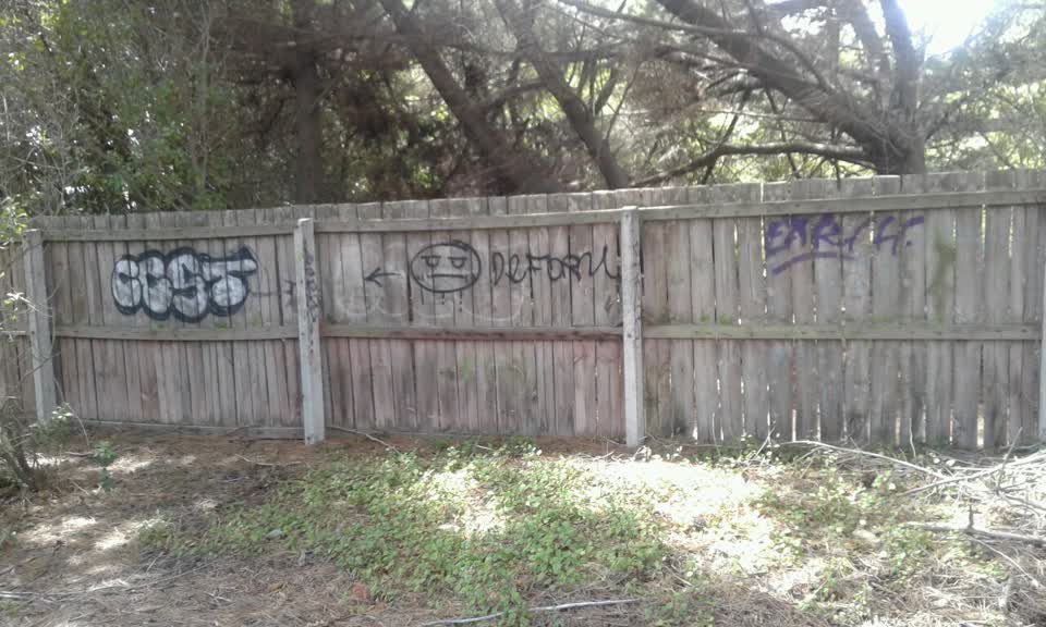 The photograph attached to this graffiti report