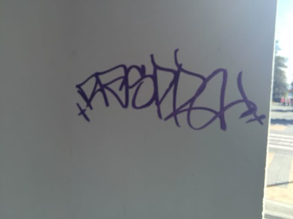 The photograph attached to this graffiti report
