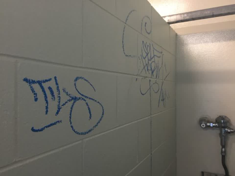 The photograph attached to this graffiti report