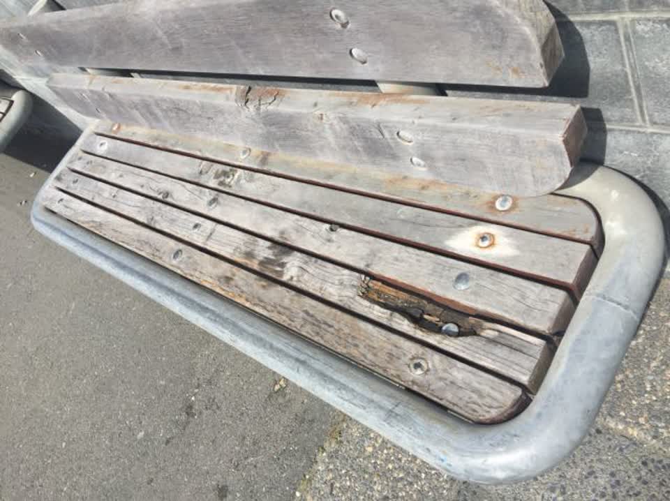 The photograph attached to this parks report