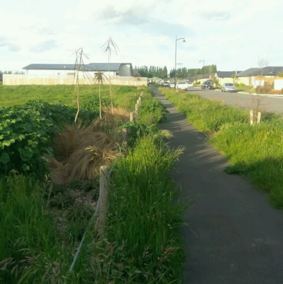The photograph attached to this parks report