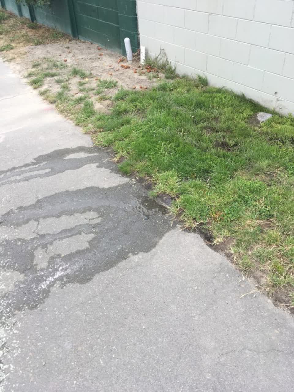 The photograph attached to this water supply report
