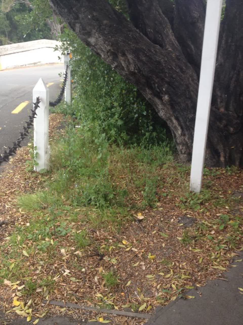 The photograph attached to this roading/streets report