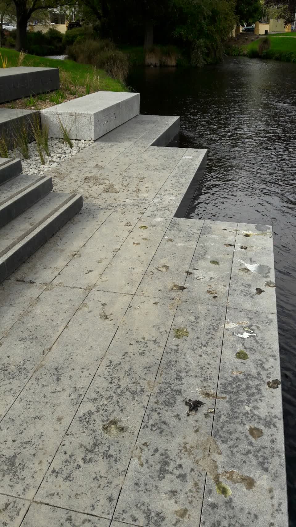 The photograph attached to this parks report