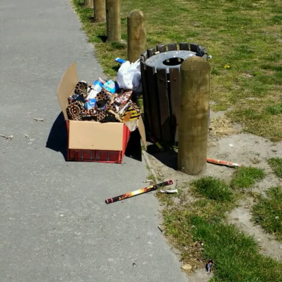 The photograph attached to this rubbish/recycling report
