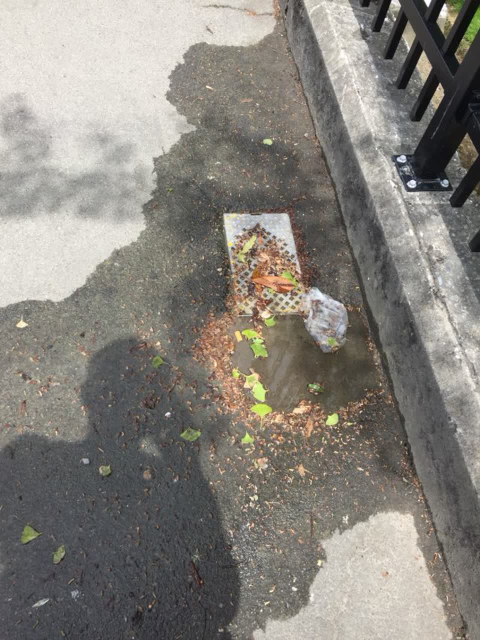 The photograph attached to this water supply report