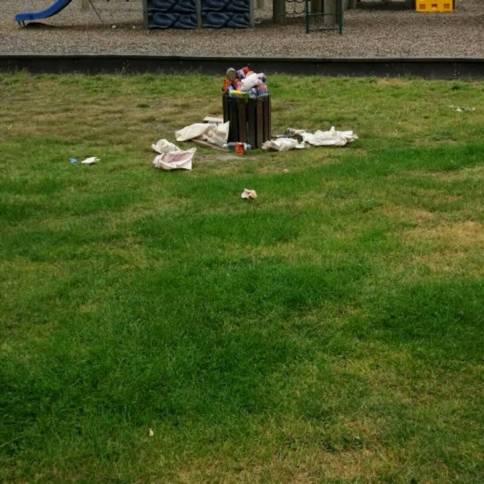 The photograph attached to this rubbish/recycling report
