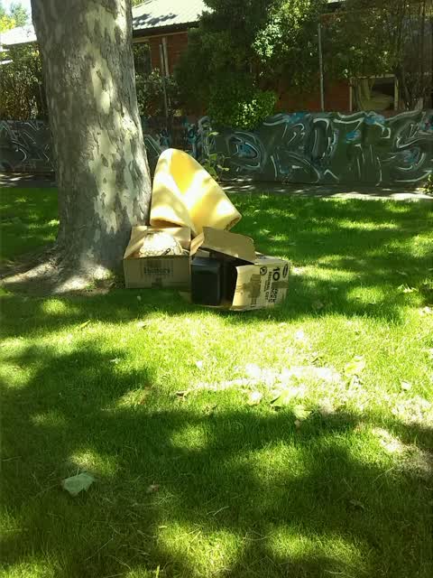 Rubbish/Recycling, a report photo