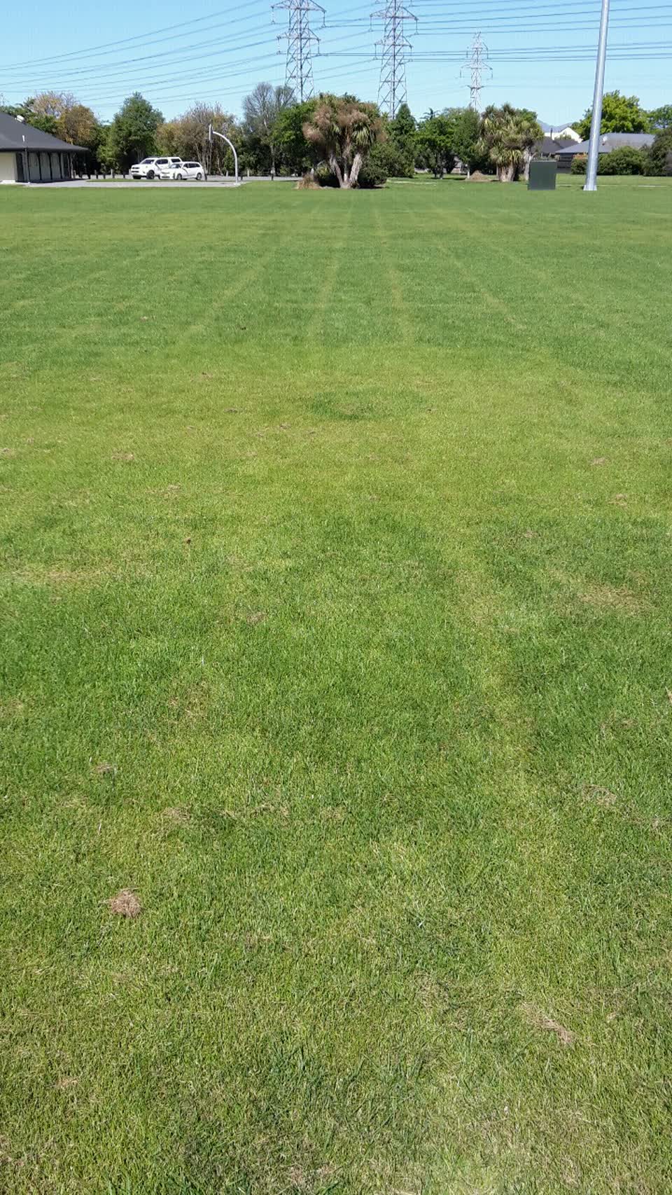 The photograph attached to this parks report