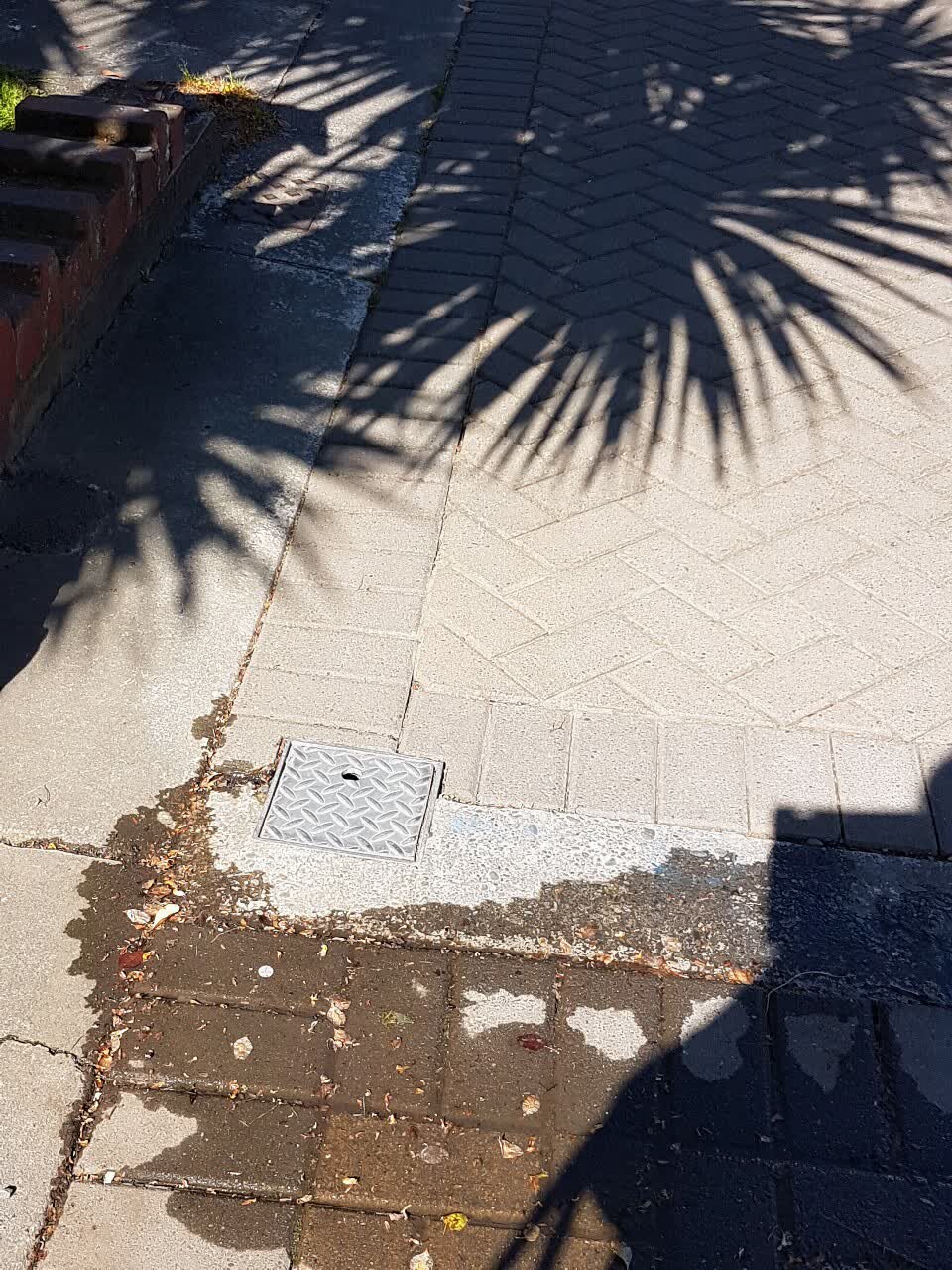 The photograph attached to this water supply report