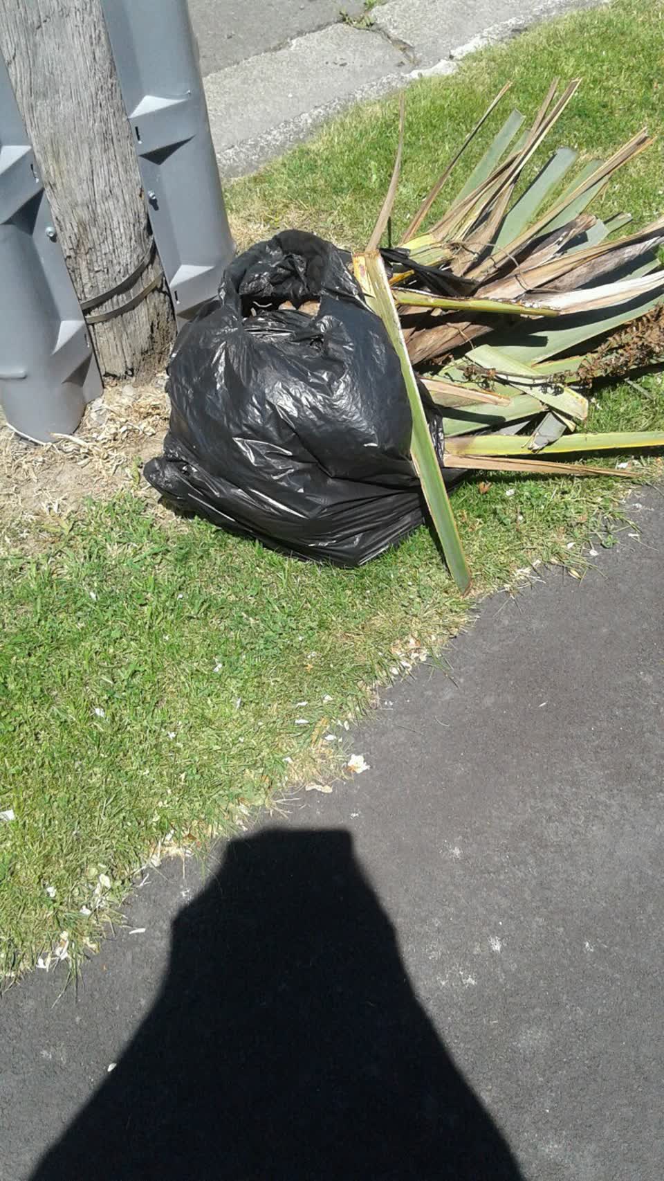 The photograph attached to this rubbish/recycling report