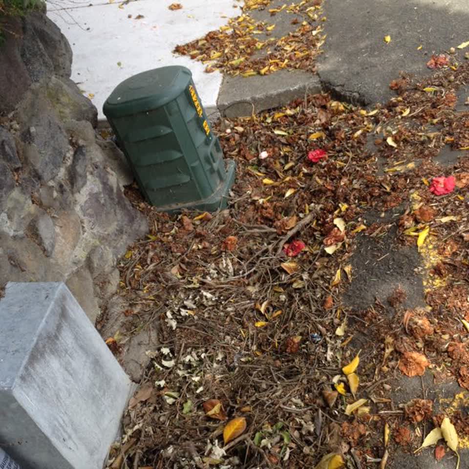 The photograph attached to this roading/streets report