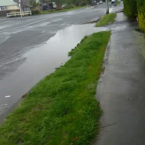 Roading/Streets, a report photo