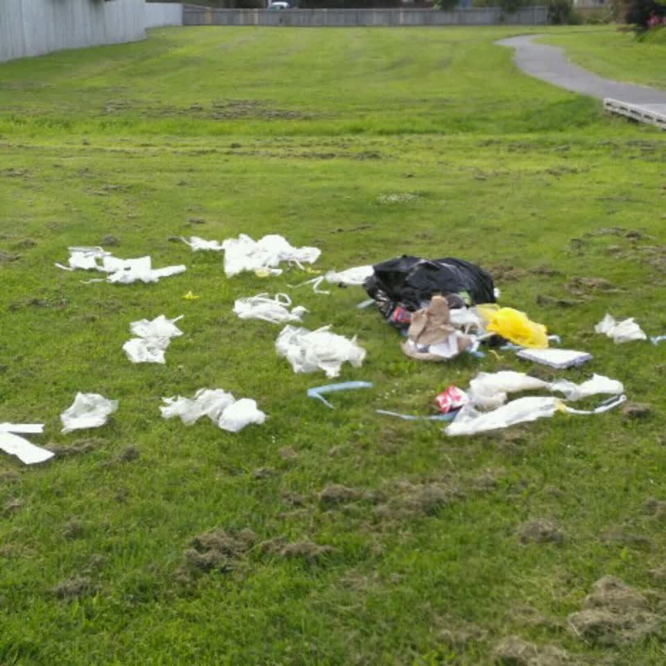 The photograph attached to this parks report