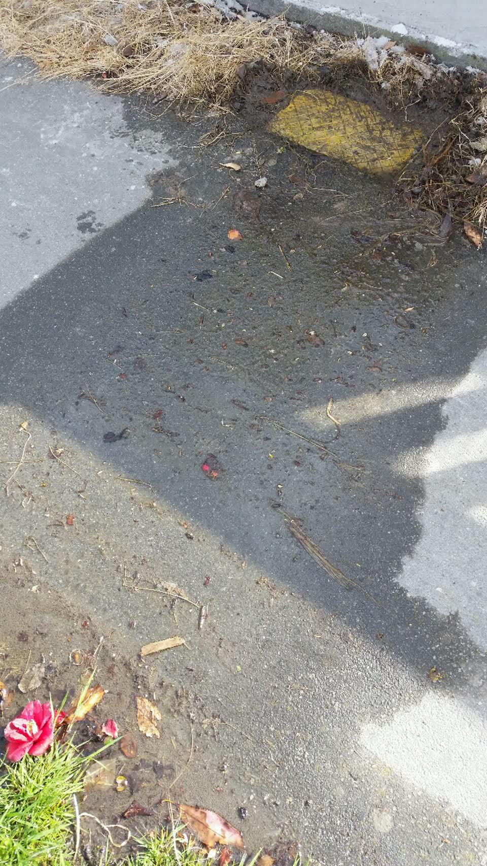 The photograph attached to this water supply report