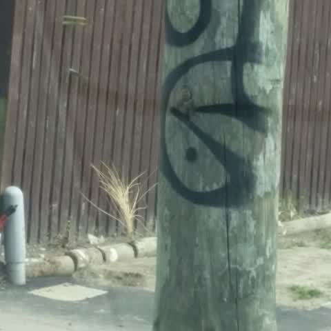 Graffiti, a report photo