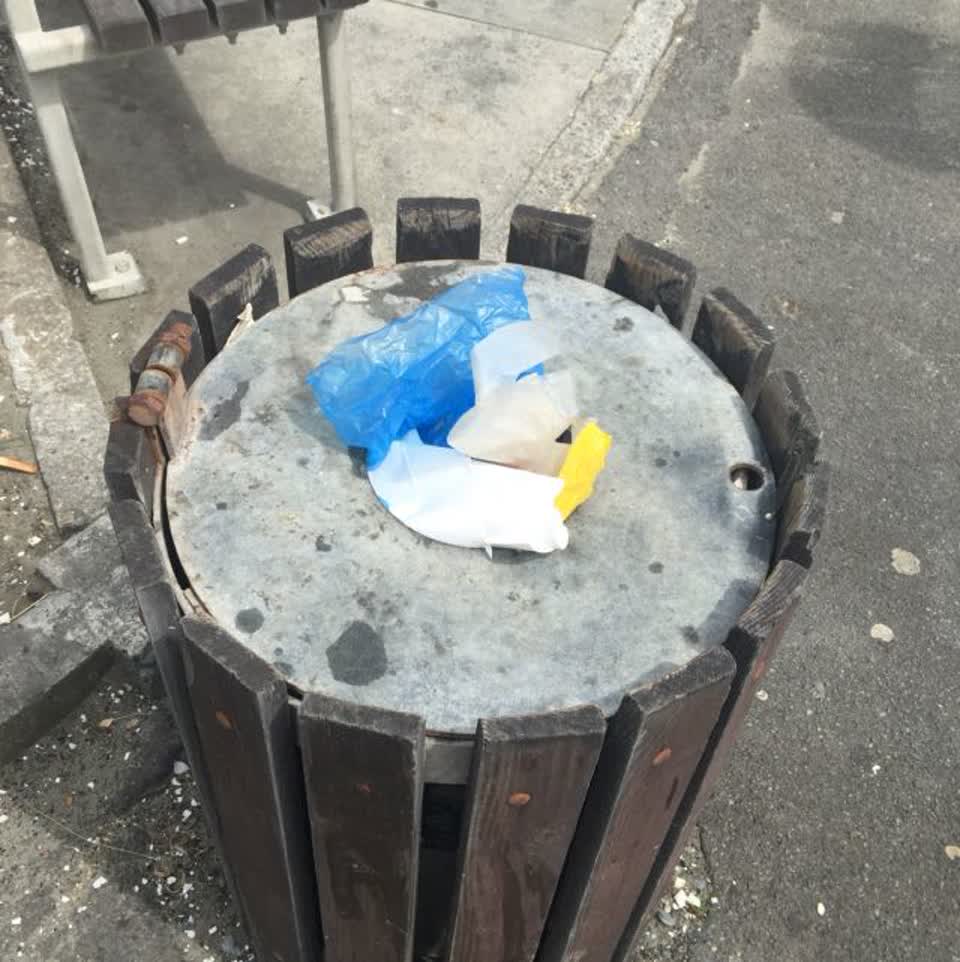 The photograph attached to this rubbish/recycling report