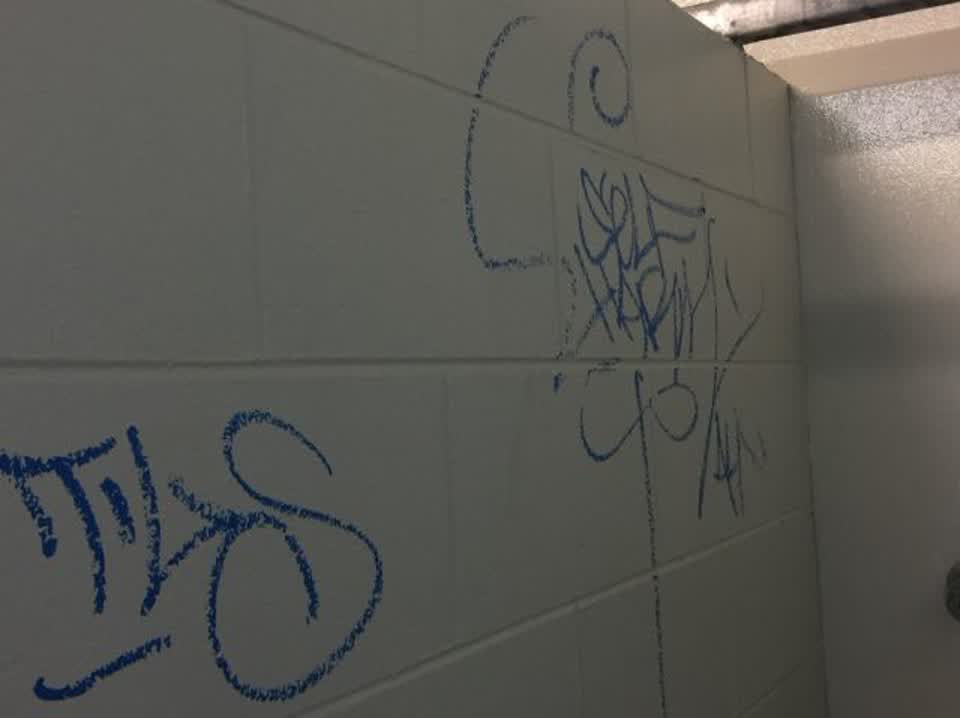 The photograph attached to this graffiti report