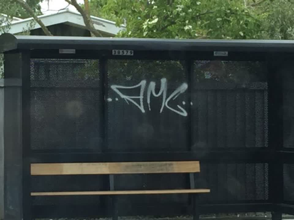 The photograph attached to this graffiti report