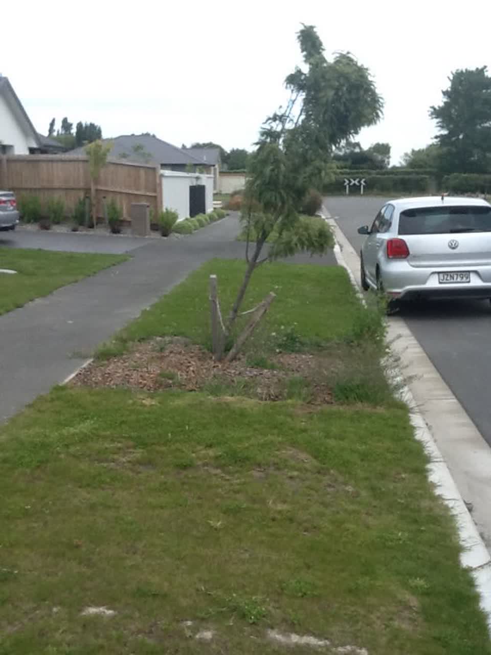 The photograph attached to this parks report
