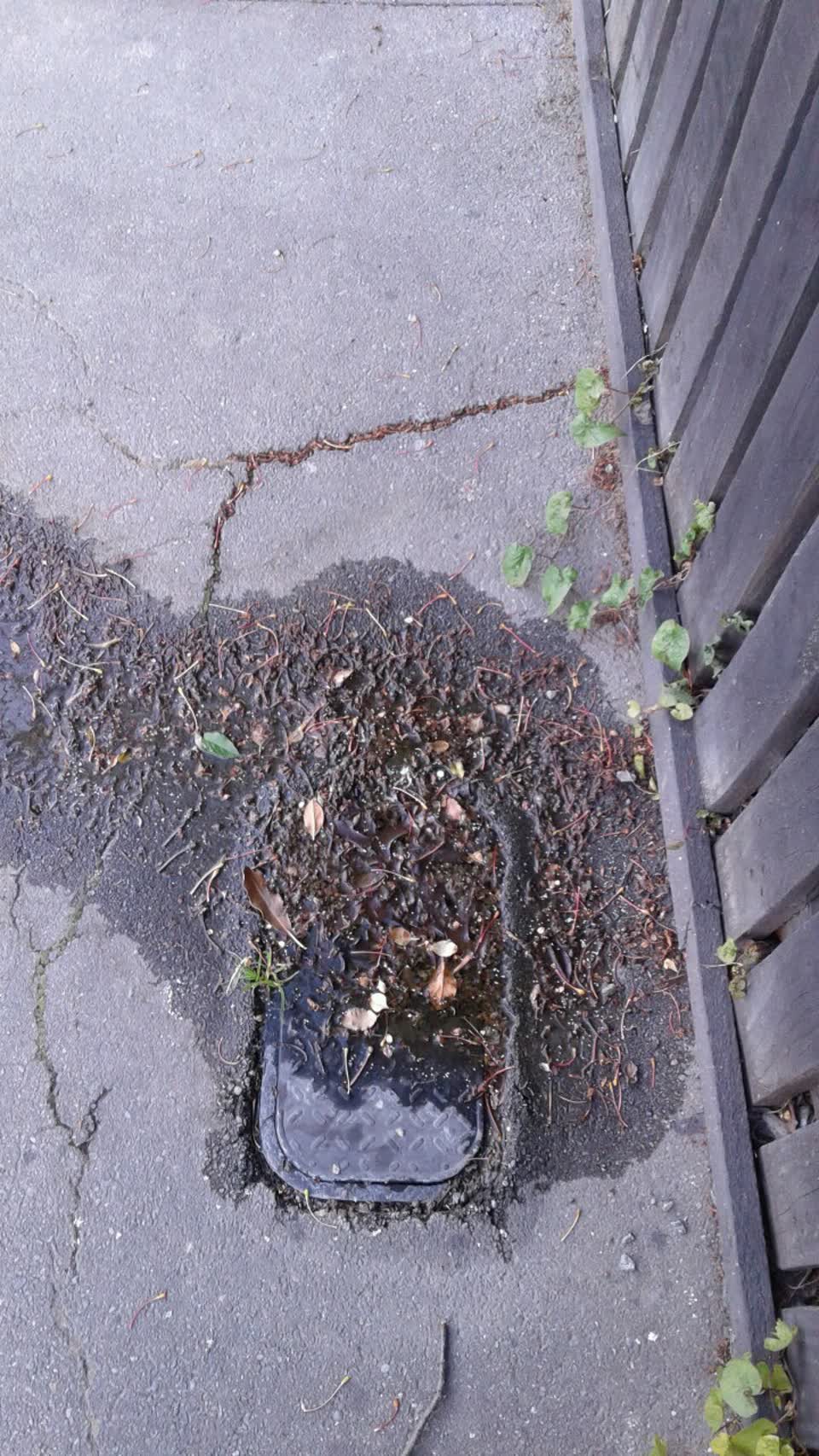 The photograph attached to this water supply report