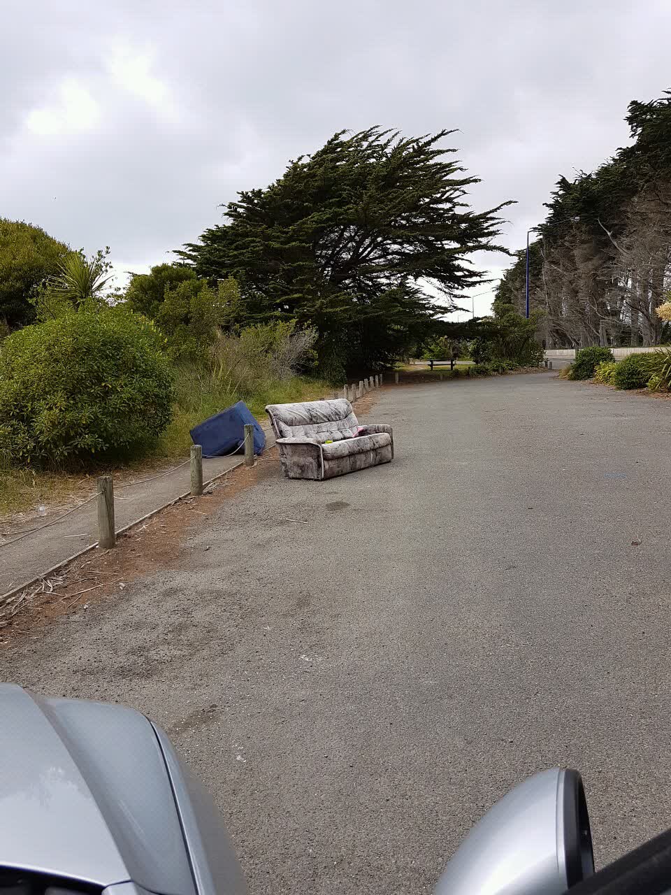 The photograph attached to this rubbish/recycling report