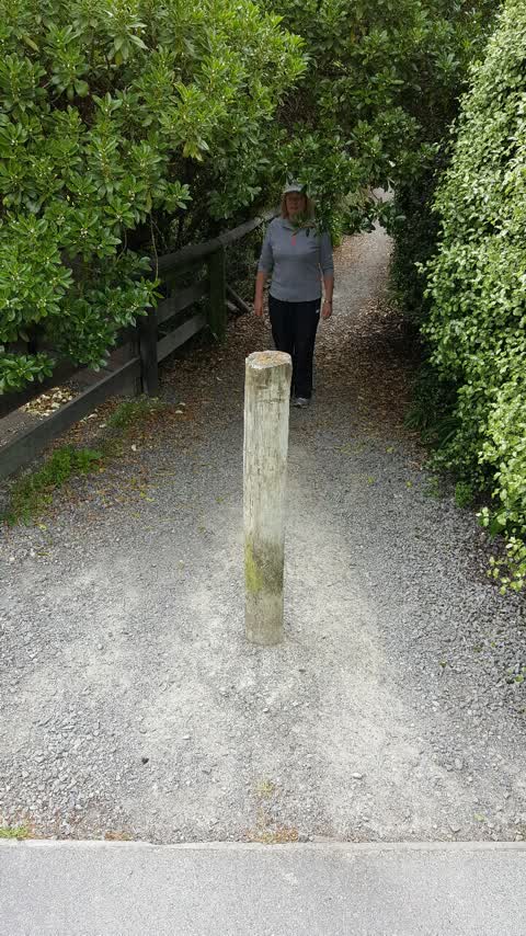 Parks, a report photo