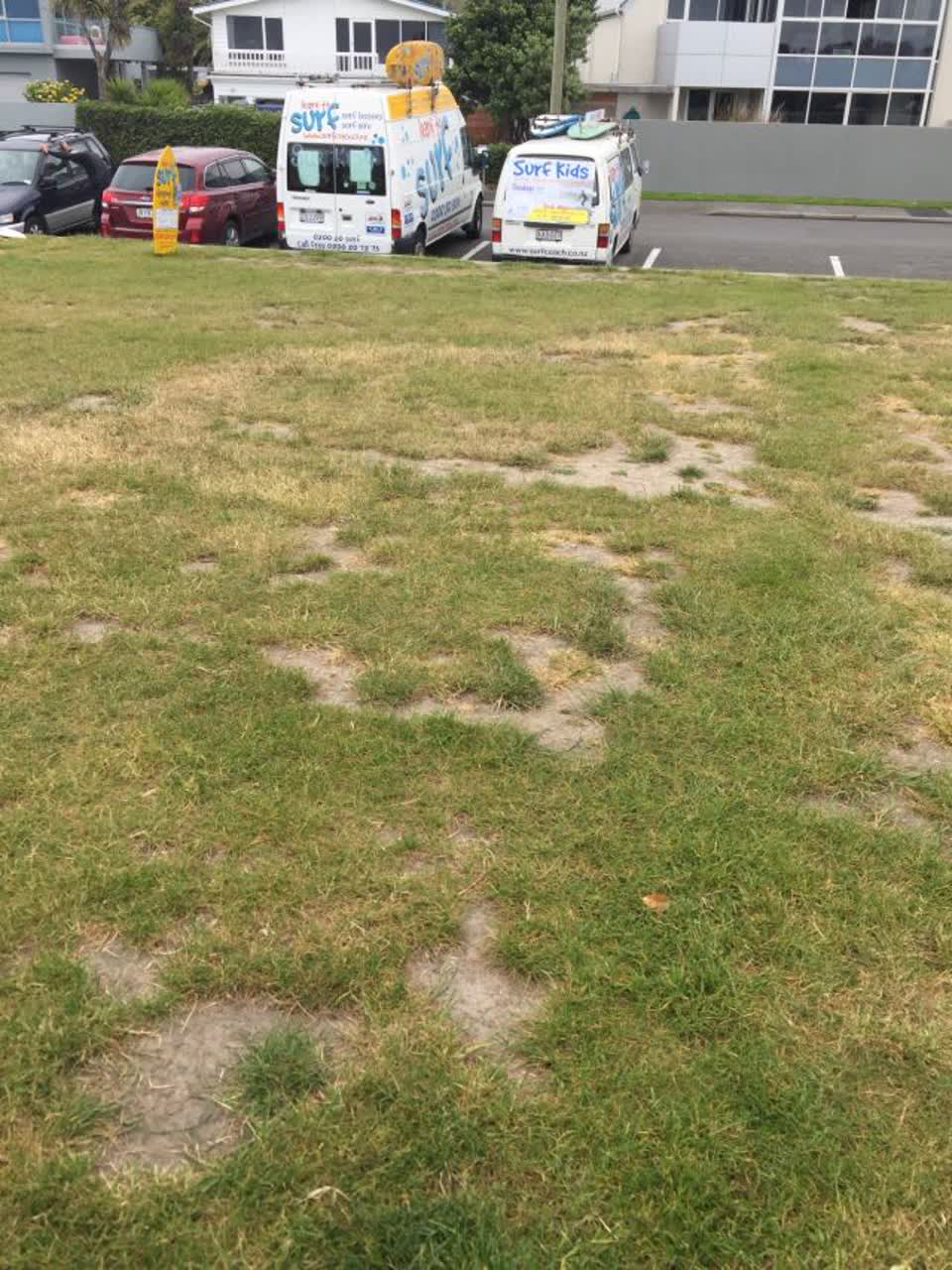 The photograph attached to this parks report