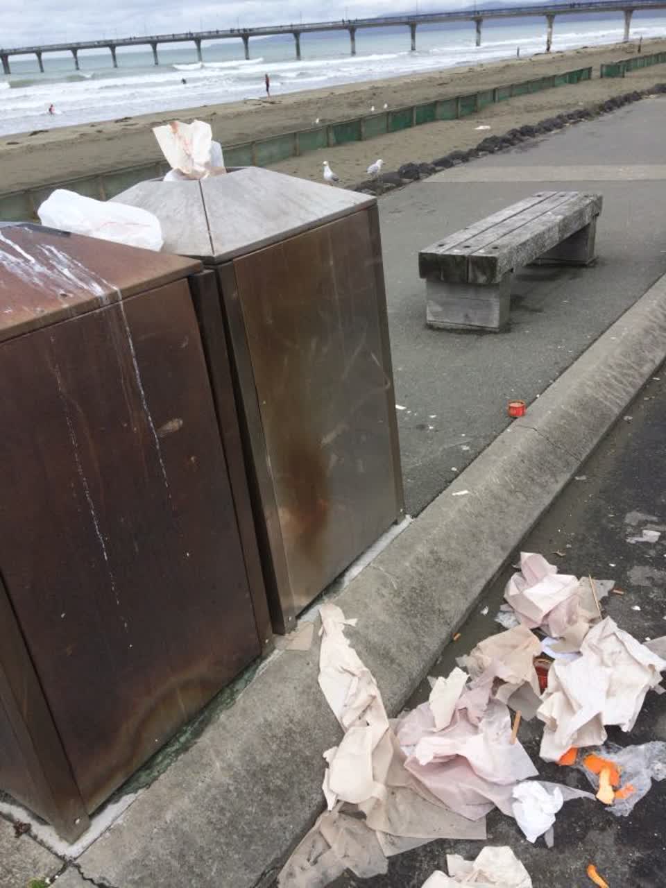 The photograph attached to this rubbish/recycling report