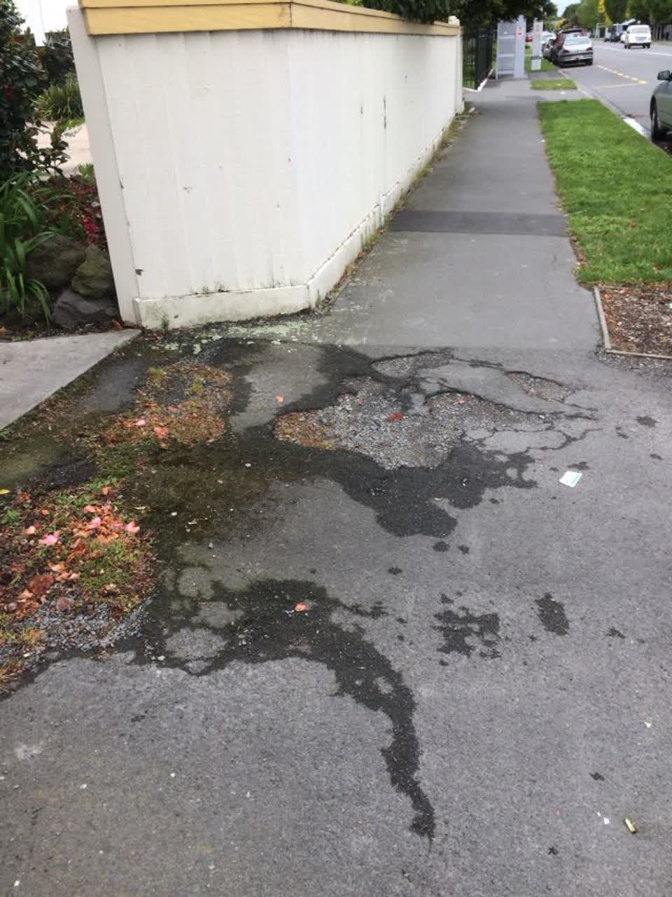 The photograph attached to this roading/streets report