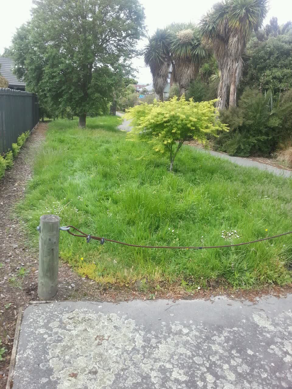 The photograph attached to this parks report