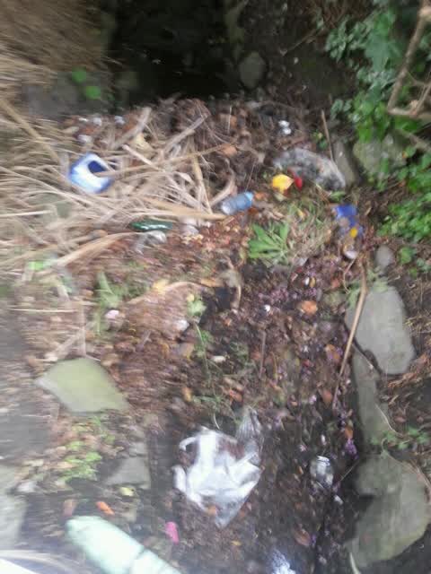 Wastewater/Stormwater, a report photo