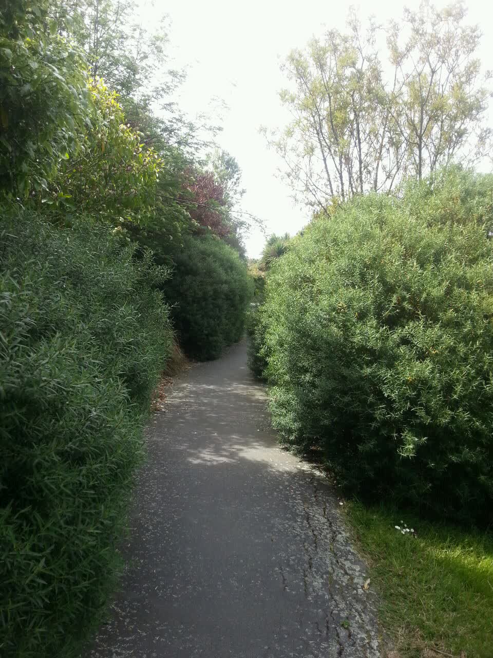 The photograph attached to this parks report
