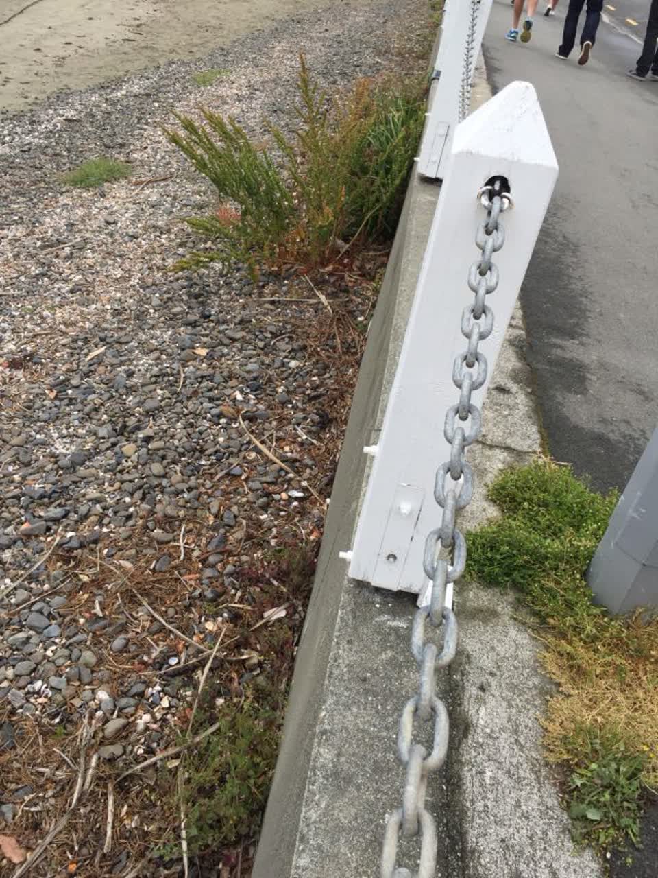 The photograph attached to this parks report