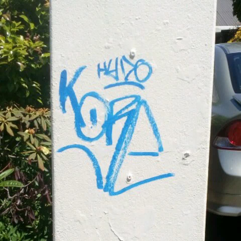 The photograph attached to this graffiti report