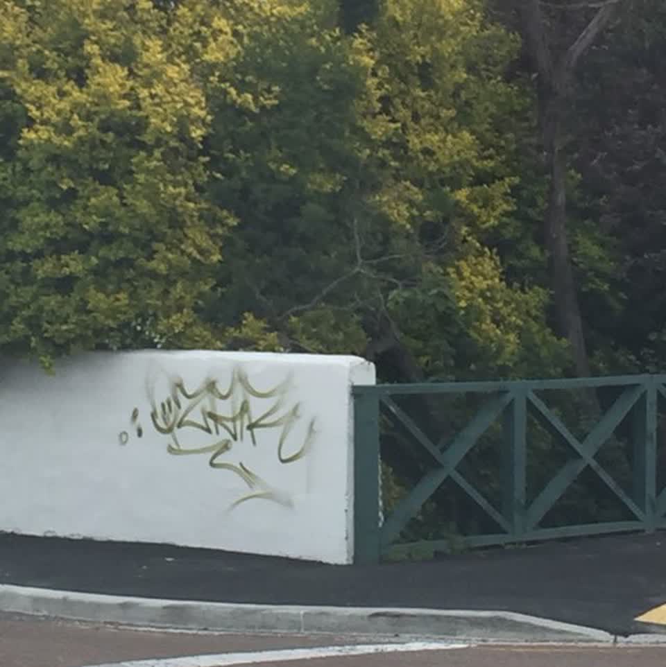 The photograph attached to this graffiti report