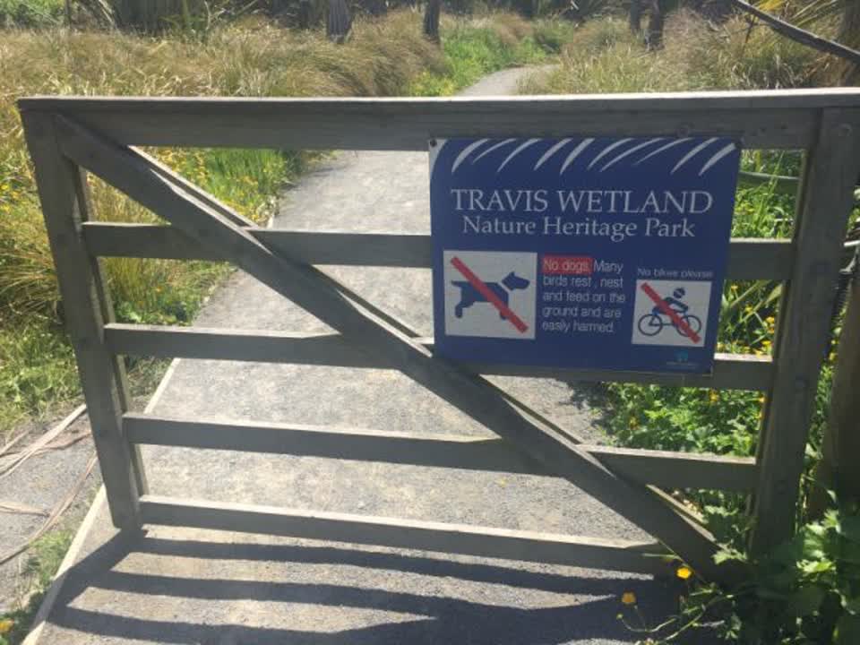 The photograph attached to this parks report