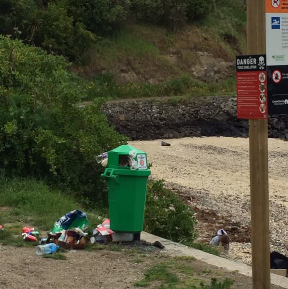 The photograph attached to this parks report