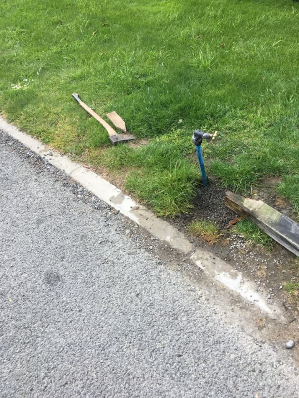 The photograph attached to this parks report