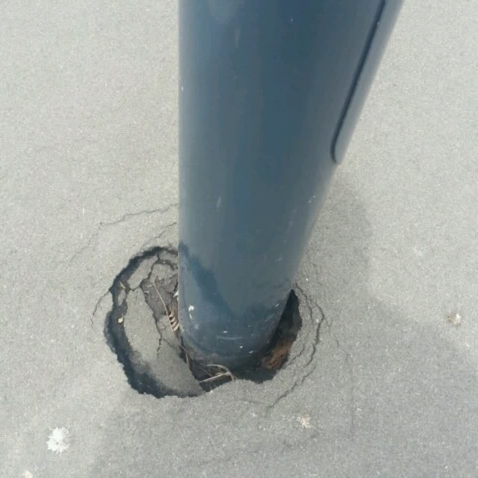 The photograph attached to this parks report