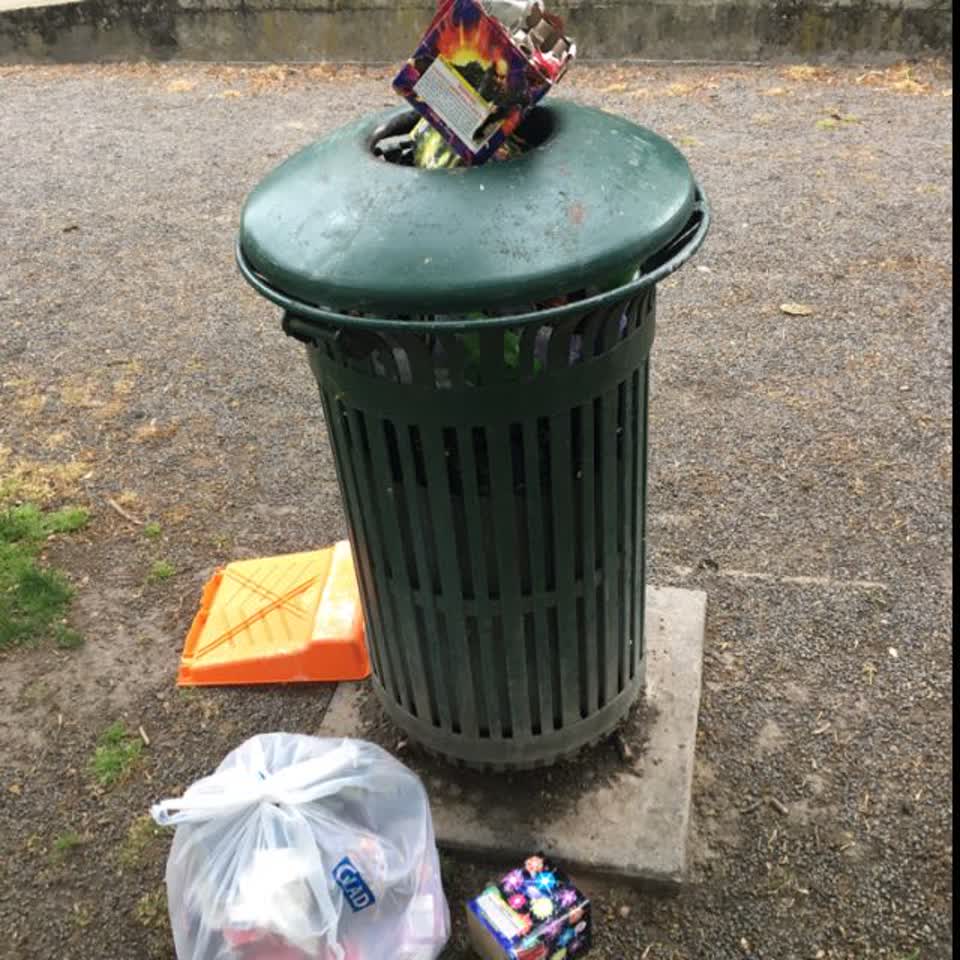 The photograph attached to this rubbish/recycling report