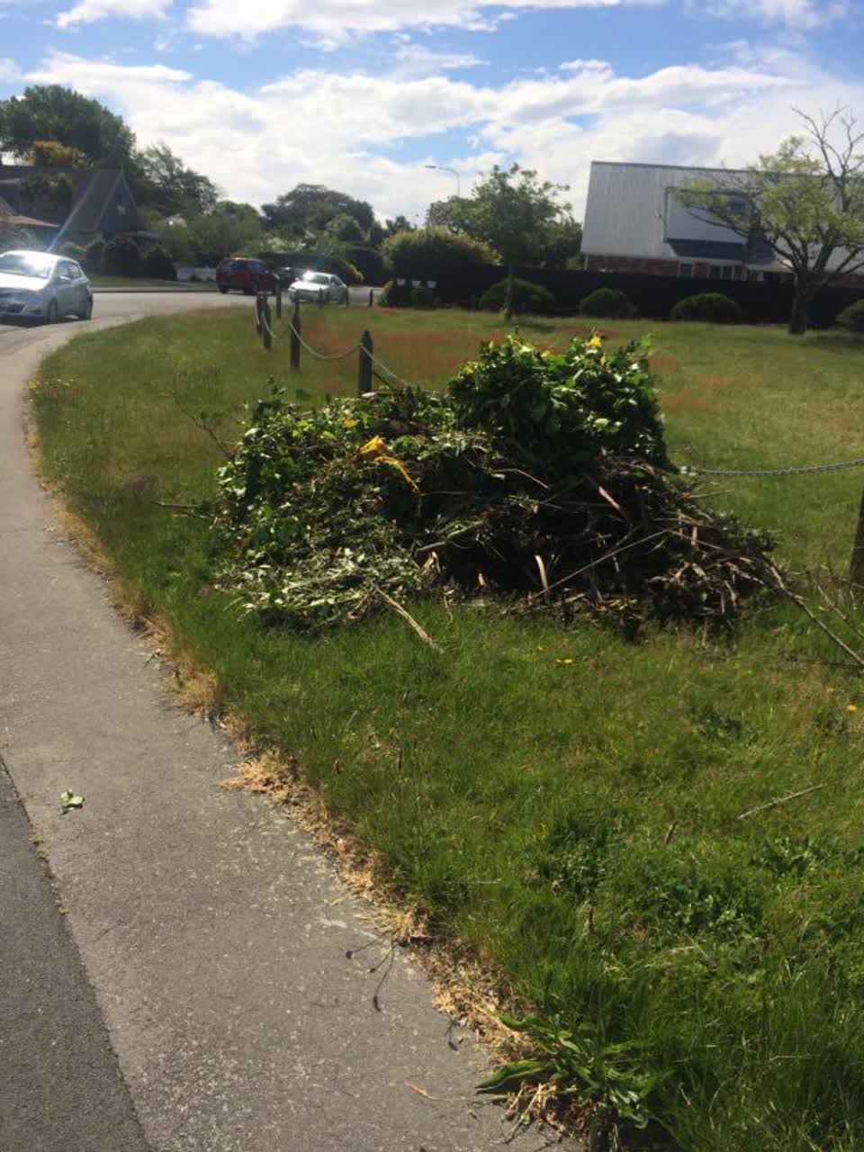 The photograph attached to this parks report