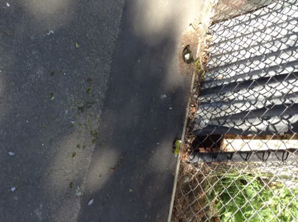 The photograph attached to this parks report