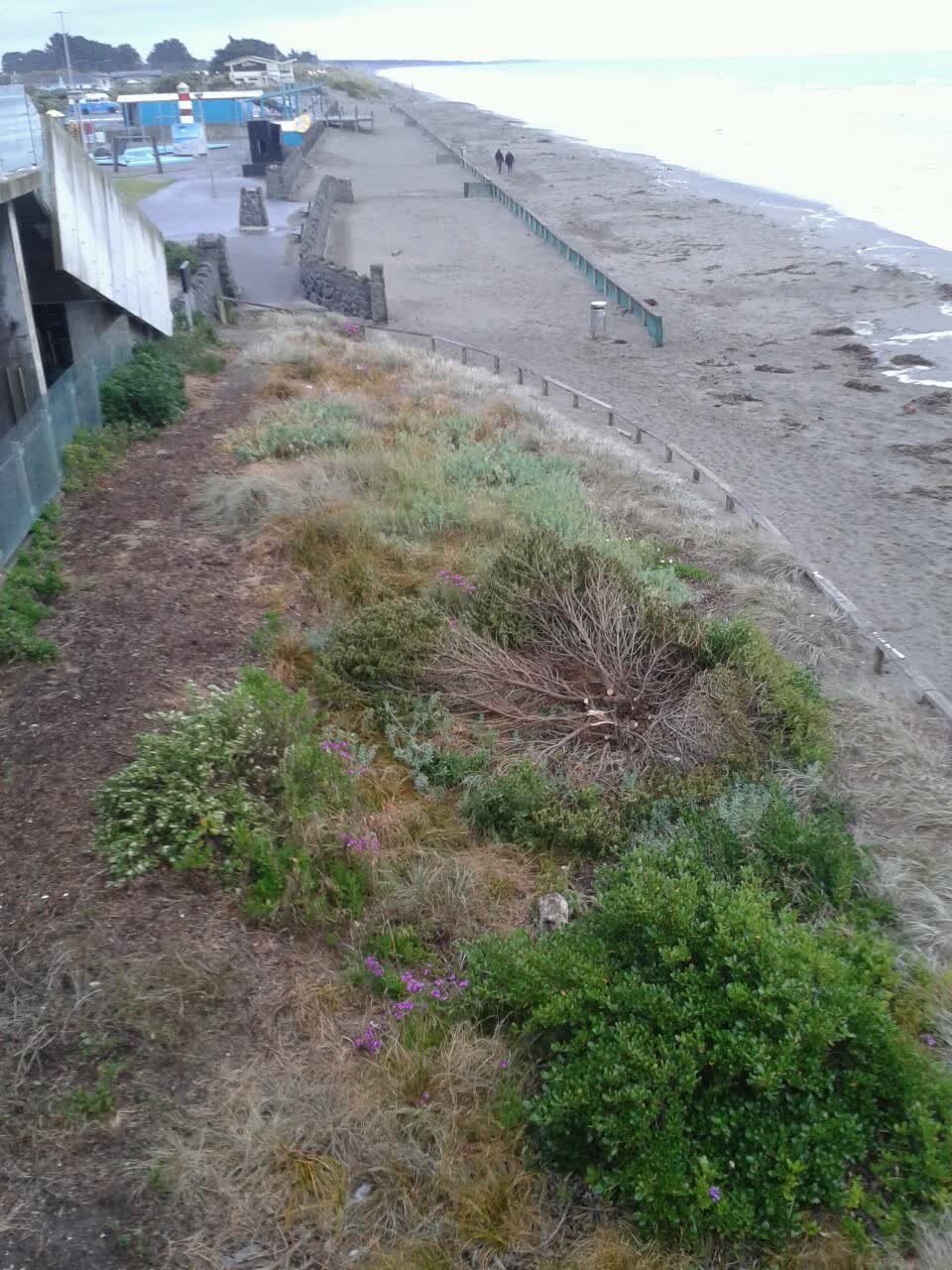 The photograph attached to this parks report