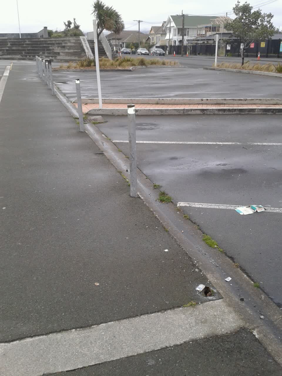 The photograph attached to this parks report