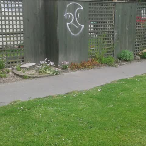 Graffiti, a report photo