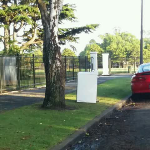 Rubbish/Recycling, a report photo